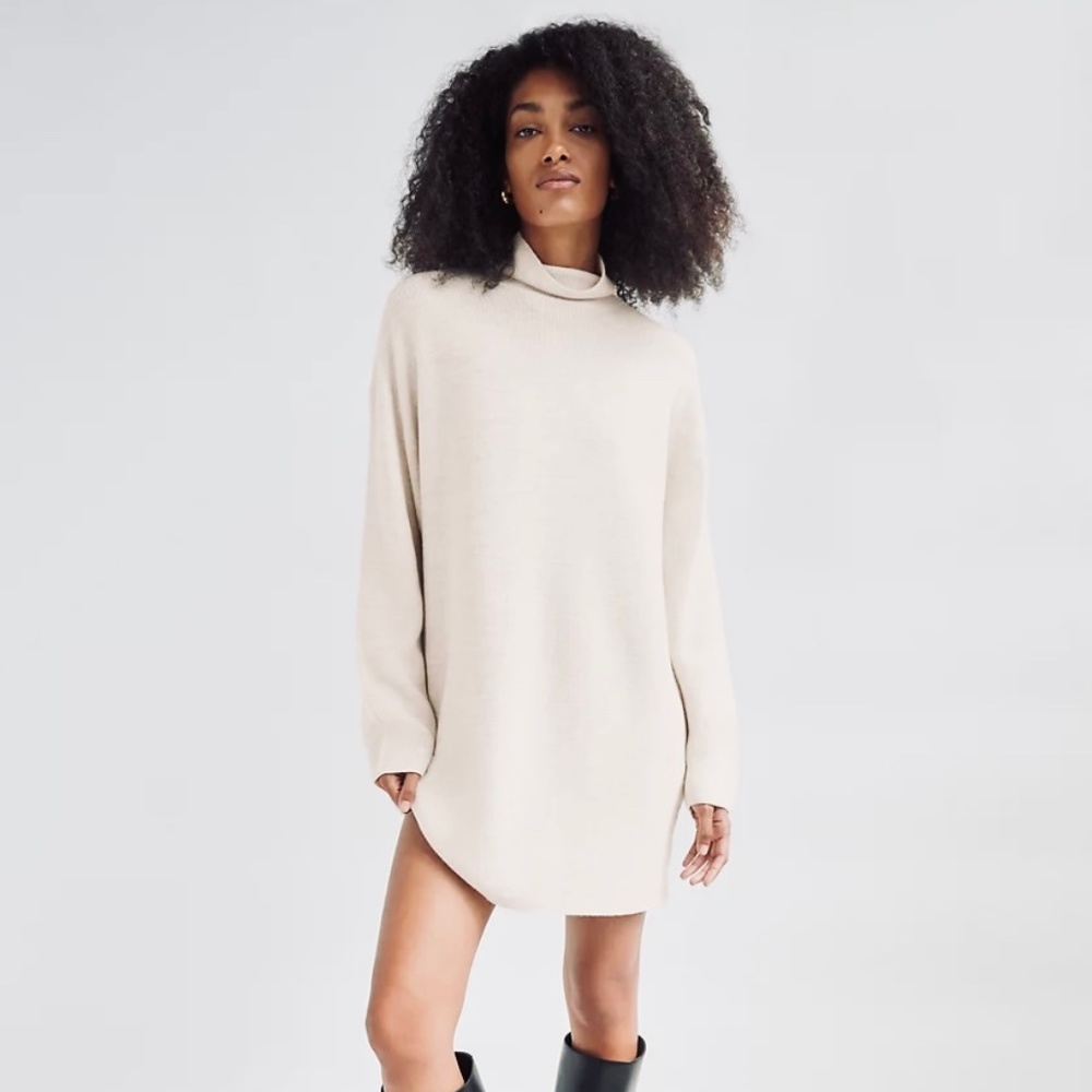 Aritzia Babaton McLean dress